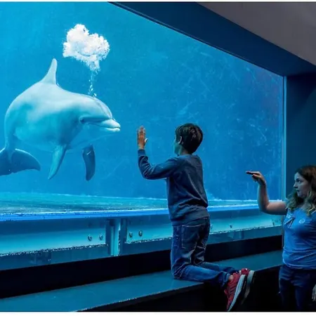 Boccadasse Acquario Gaslini Apartamento Génova
